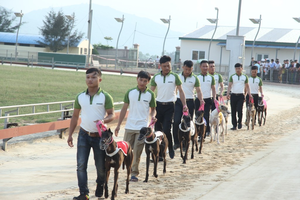 Xã hội - Người dân hào hứng đi xem… đua chó ‘độc nhất vô nhị’ ở Hà Tĩnh (Hình 3).