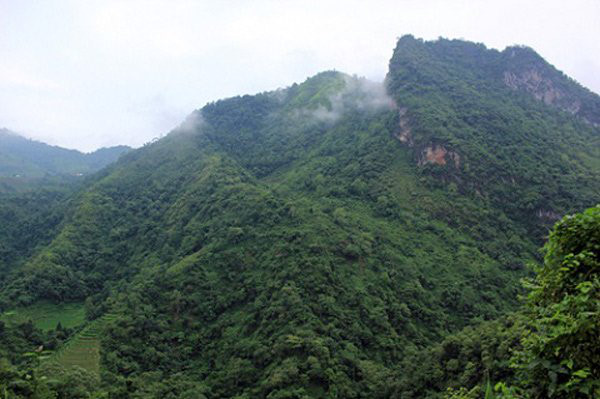 An ninh - Hình sự - Hà Giang: Điều tra vụ nổ súng vào hàng xóm rồi tự tử vì... đàn dê