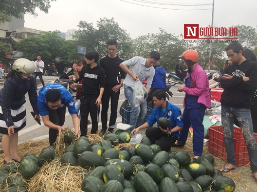 Xã hội - Chiến dịch 'Giải cứu dưa hấu': Ấm tình người sau mỗi chuyến xe dưa (Hình 2).