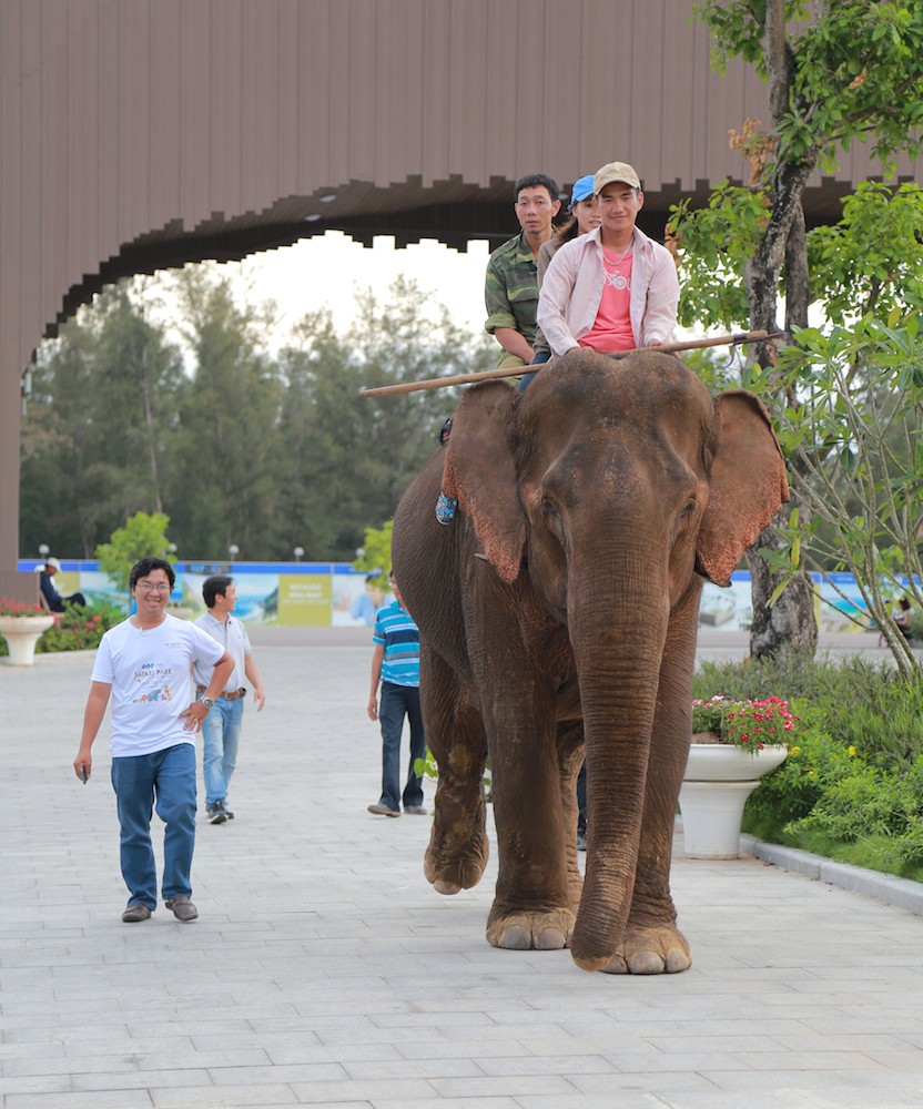 Tiêu dùng & Dư luận - Khách du lịch chen nhau mua vé vào FLC Zoo Safari dịp 30/4 (Hình 9).