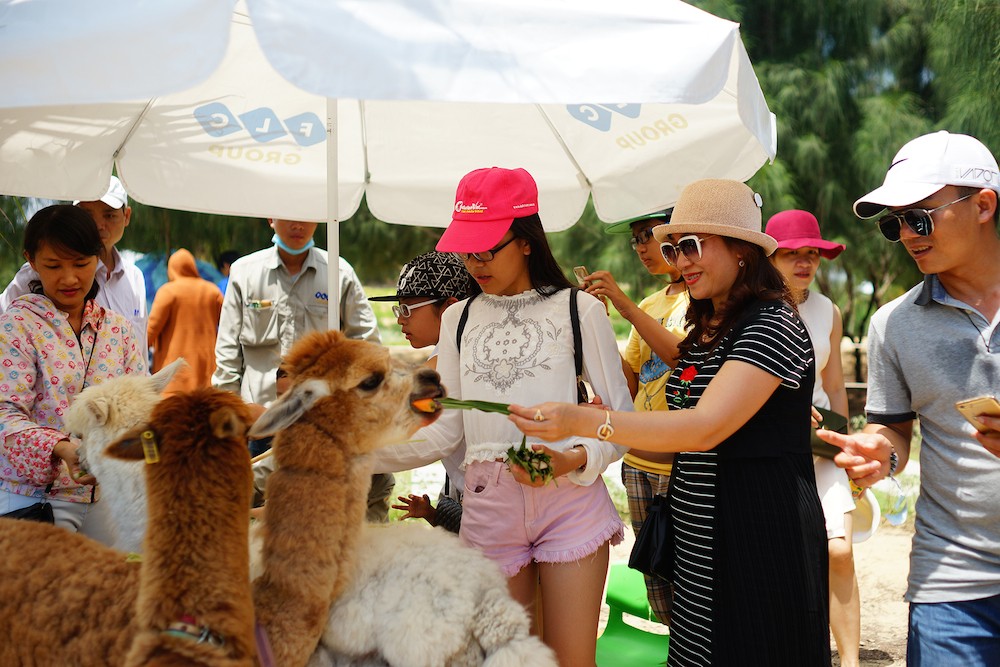 Tiêu dùng & Dư luận - Khách du lịch chen nhau mua vé vào FLC Zoo Safari dịp 30/4 (Hình 10).