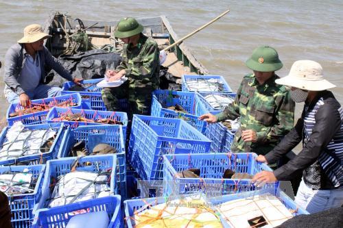 An ninh - Hình sự - Quảng Ninh: Bắt giữ kẻ vận chuyển số lượng lớn sam đi tiêu thụ