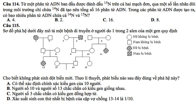 Giáo dục - Đề thi minh họa môn Sinh học THPT Quốc gia 2017 mới nhất (Hình 8).