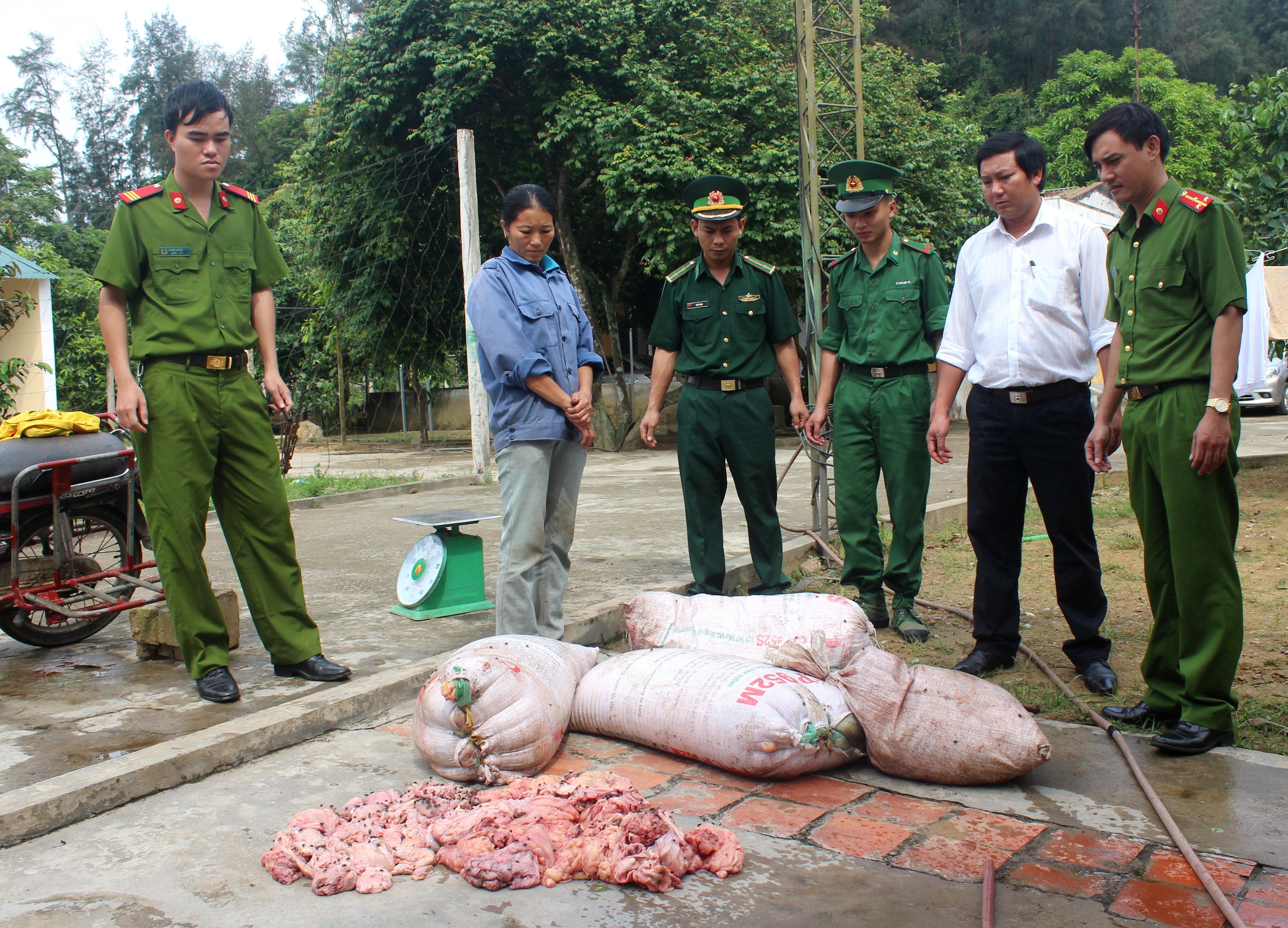 Xã hội - Hà Tĩnh: Hàng tấn nội tạng và thịt thối liên tiếp bị bắt giữ (Hình 2).