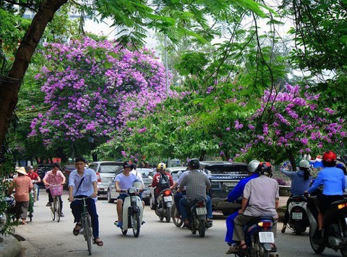 X&atilde; hội - Dự b&aacute;o thời tiết ng&agrave;y 9/5: Bắc Bộ m&aacute;t mẻ, đ&ecirc;m mưa rải r&aacute;c