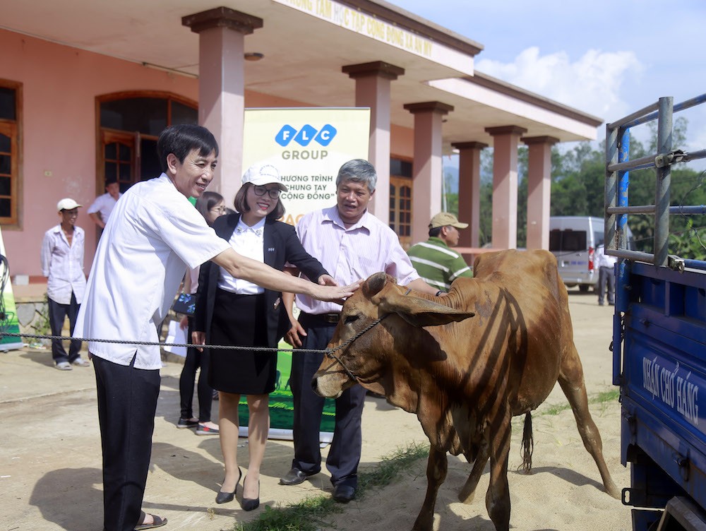 Đời sống - Tập đoàn FLC trao bê giống cho 6 huyện của tỉnh Bình Định