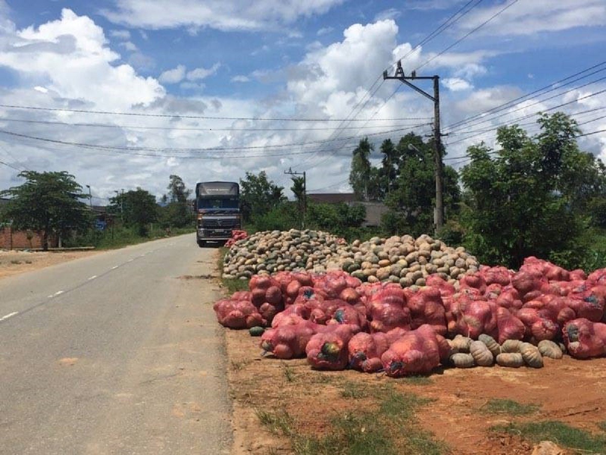 Xã hội - 1kg bí ngô không mua được gói mỳ tôm, nông dân chờ... 'giải cứu'