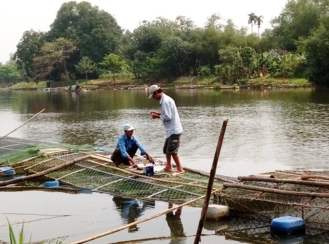 Xã hội - Thừa Thiên – Huế: Hàng tấn cá chết vì thủy điện ngưng xả nước?