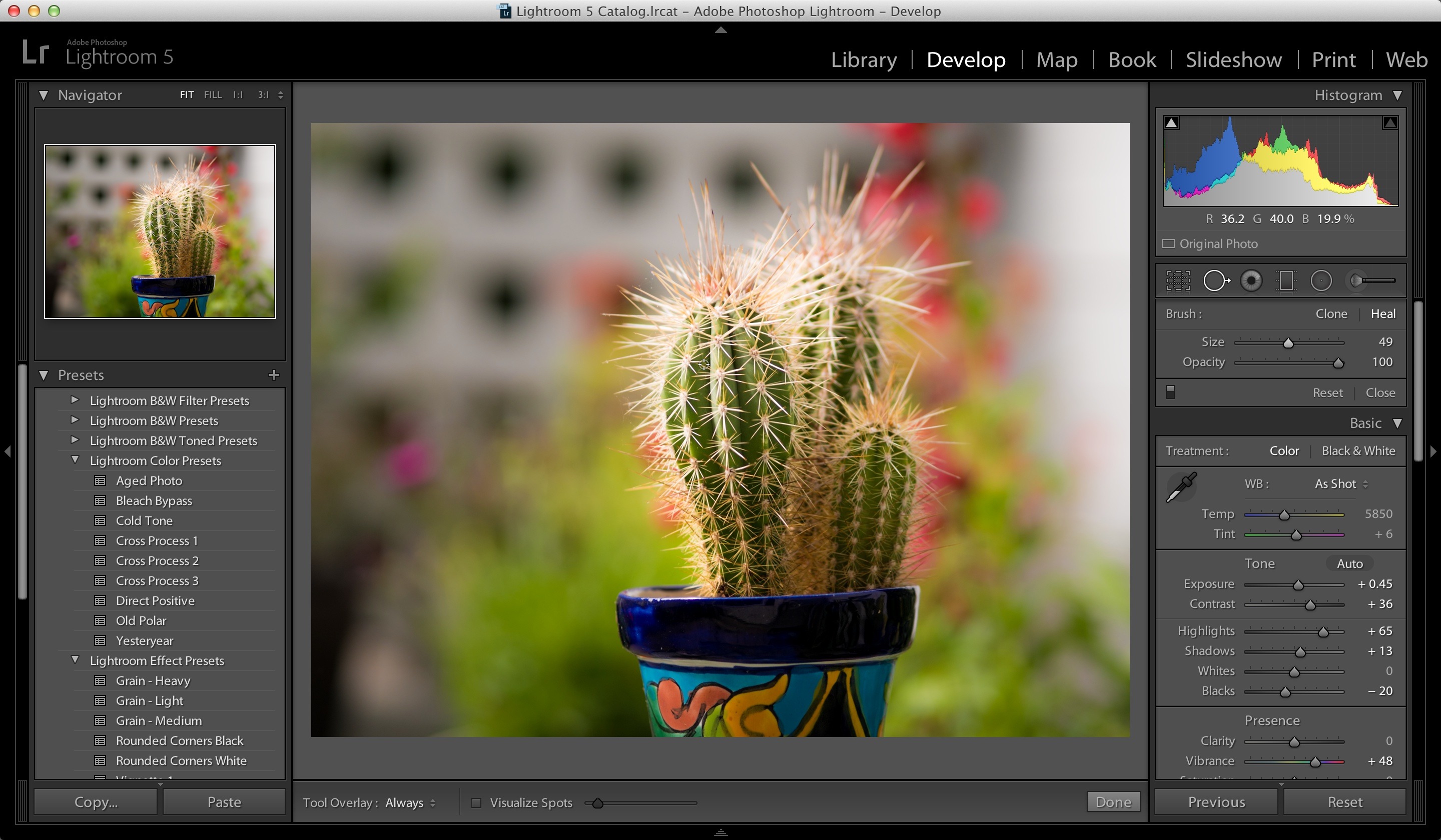 Sản phẩm - Adobe chính thức thừa nhận Lightroom chạy quá chậm