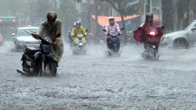 Tin nhanh - Dự báo thời tiết ngày 19/7: Mưa lớn diện rộng ở Bắc Bộ