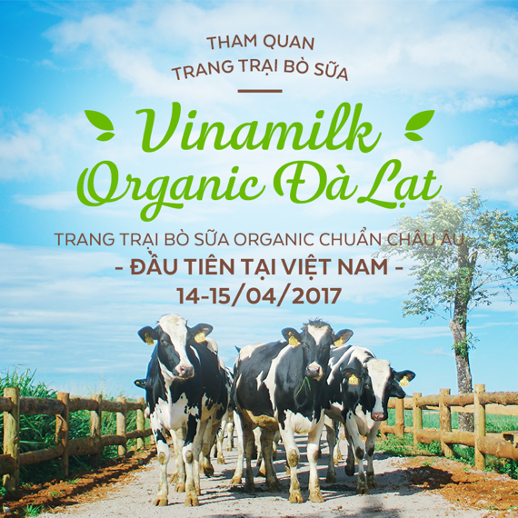 Xã hội - 15 gia đình may mắn chuẩn bị hành trình Vinamilk Organic Farm Tour