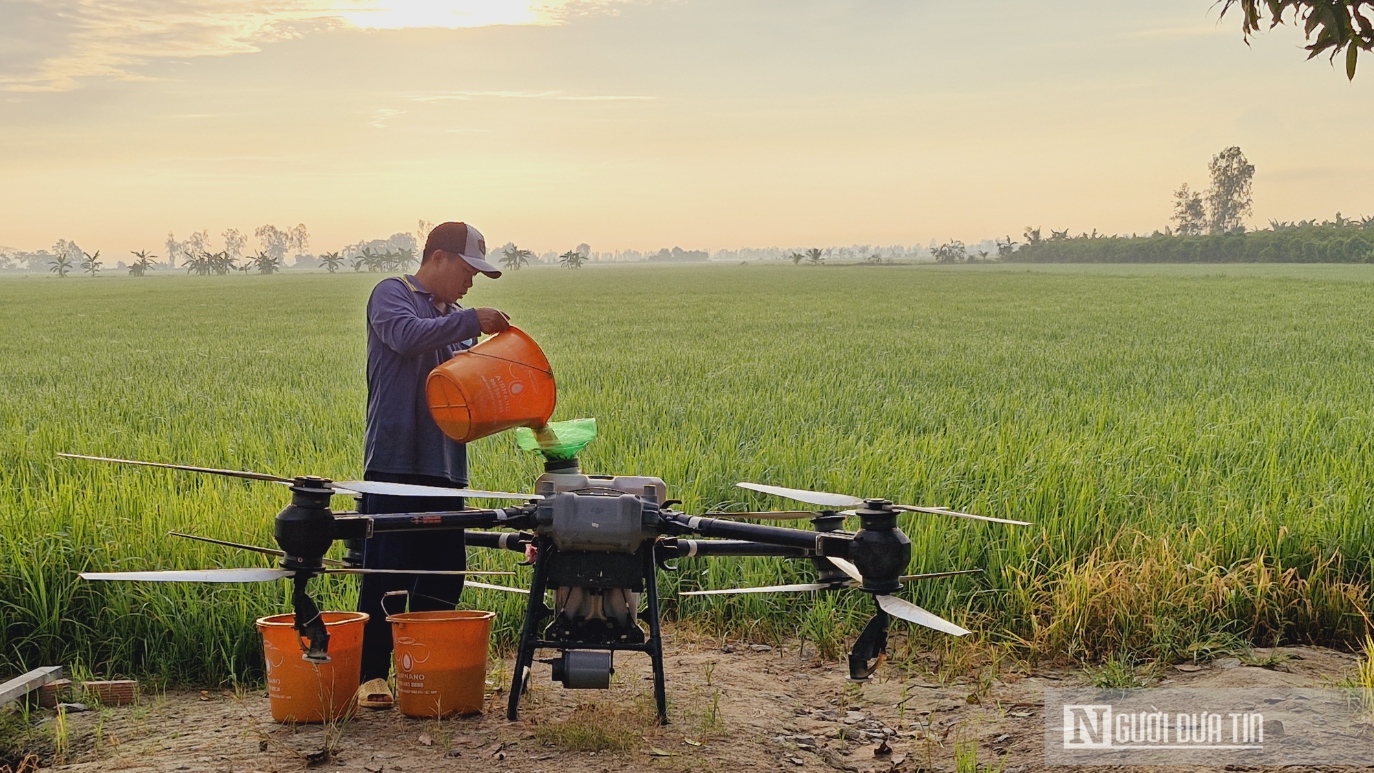 Mô hình trồng lúa "đỉnh cao" giúp nông dân An Giang thắng lớn trong cuộc "cách mạng lúa gạo"- Ảnh 1.