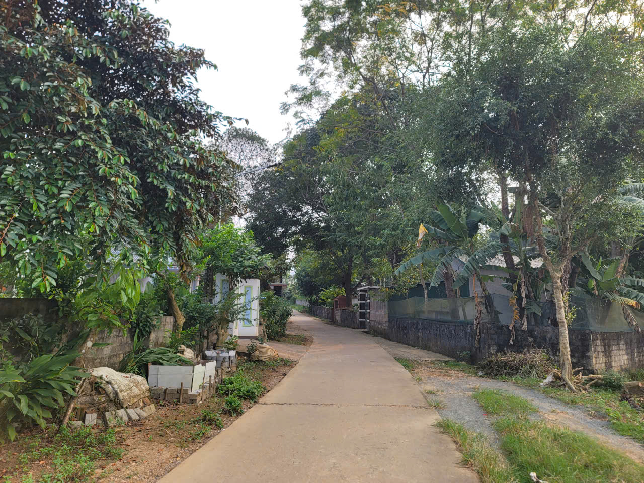 Khởi tố, bắt giam "tác giả" khiến nữ sinh lớp 8 mang song thai- Ảnh 1.