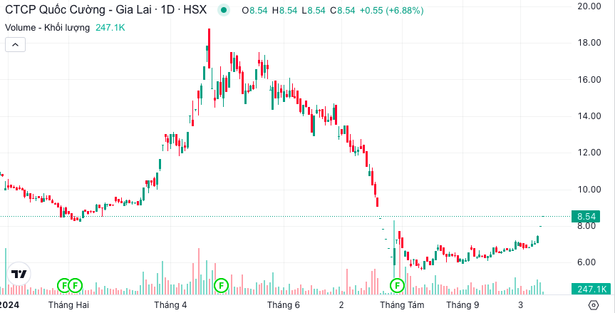 Cổ phiếu QCG của Quốc Cường Gia Lai "tím" hai phiên liên tiếp- Ảnh 1.