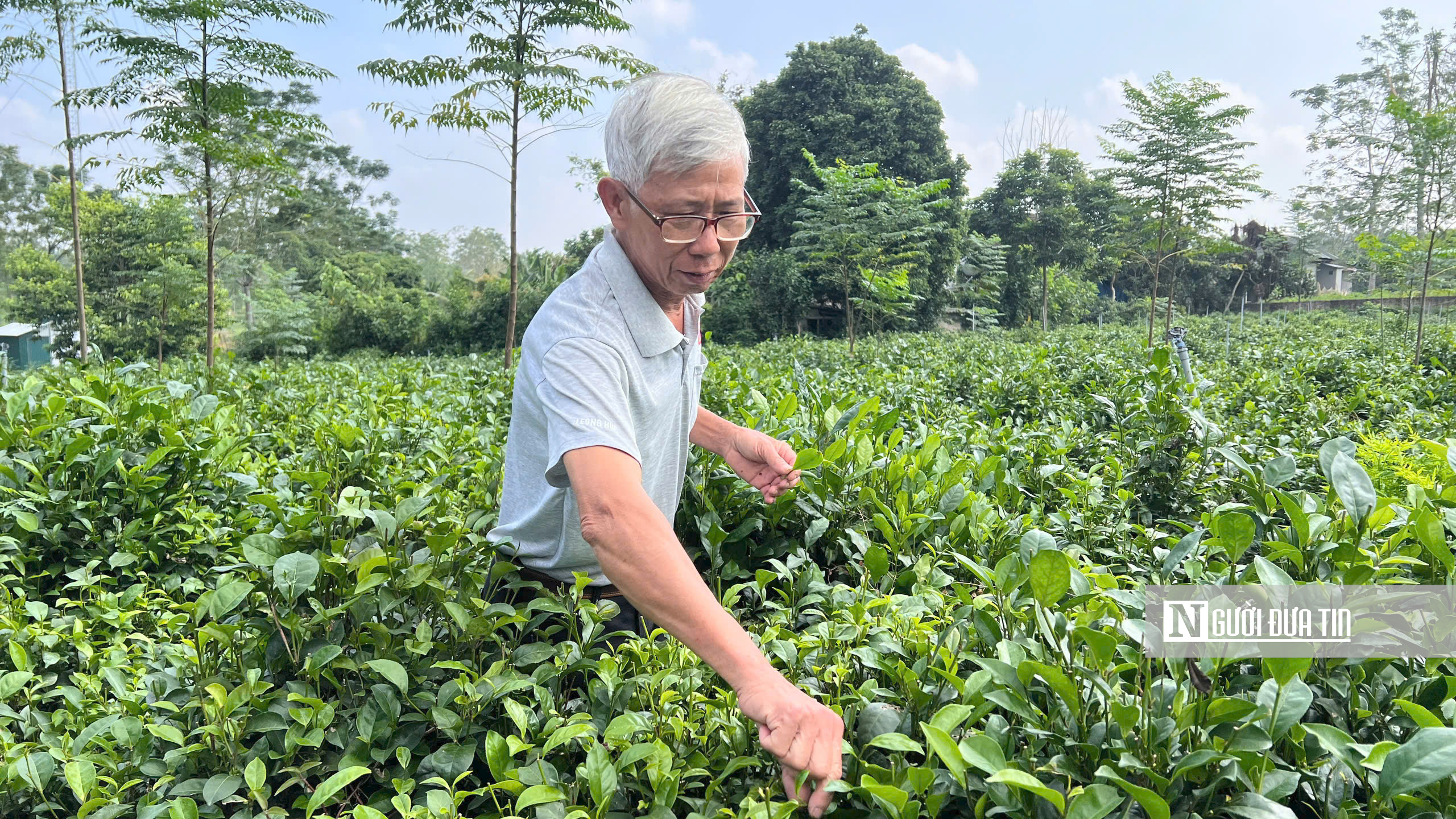 Làm thế nào 