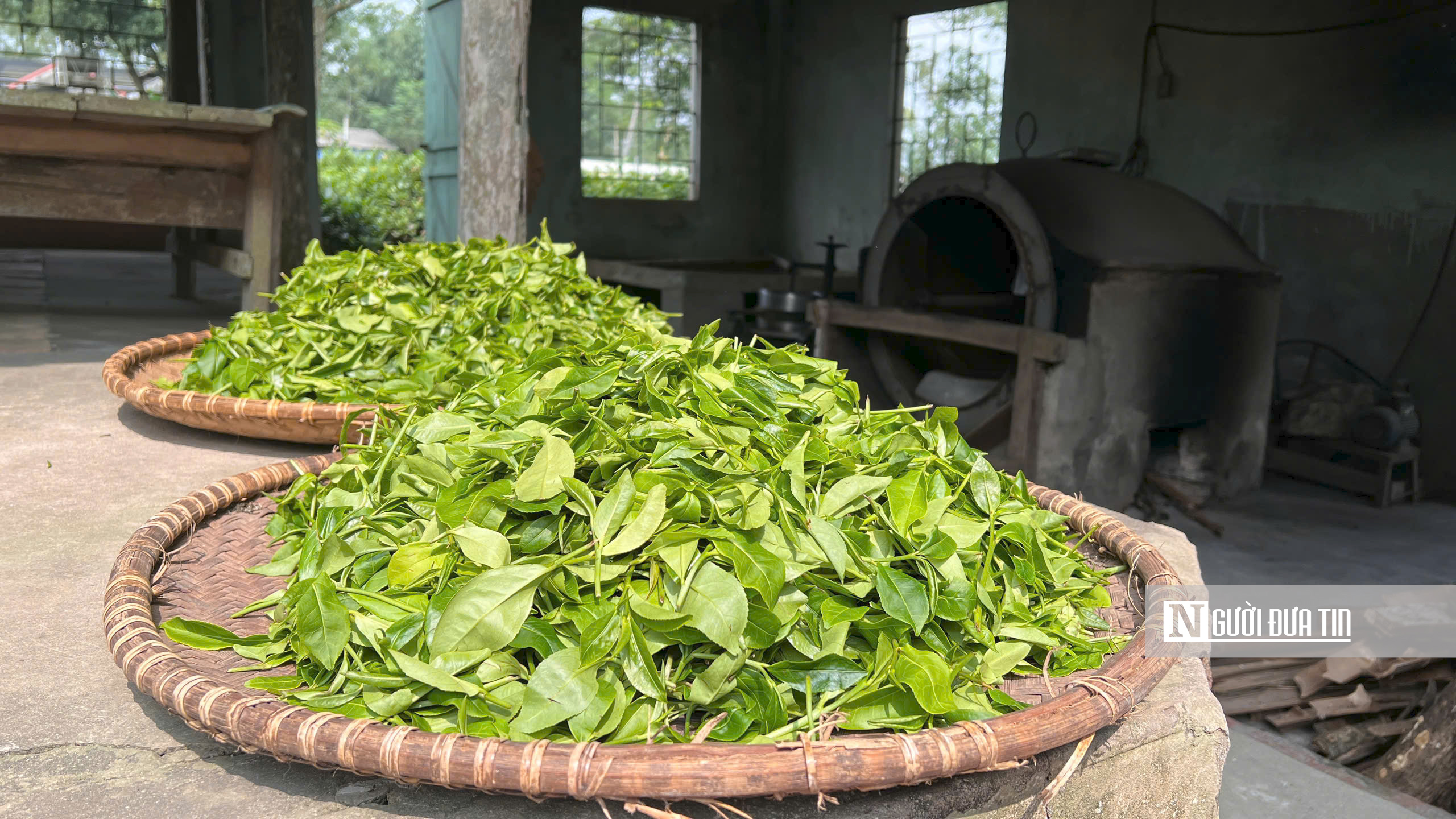 Làm thế nào 