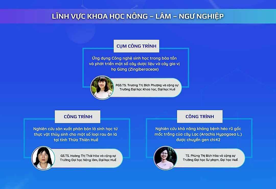 Huế vinh danh nhiều công trình sáng tạo của các nhà khoa học nữ- Ảnh 4.