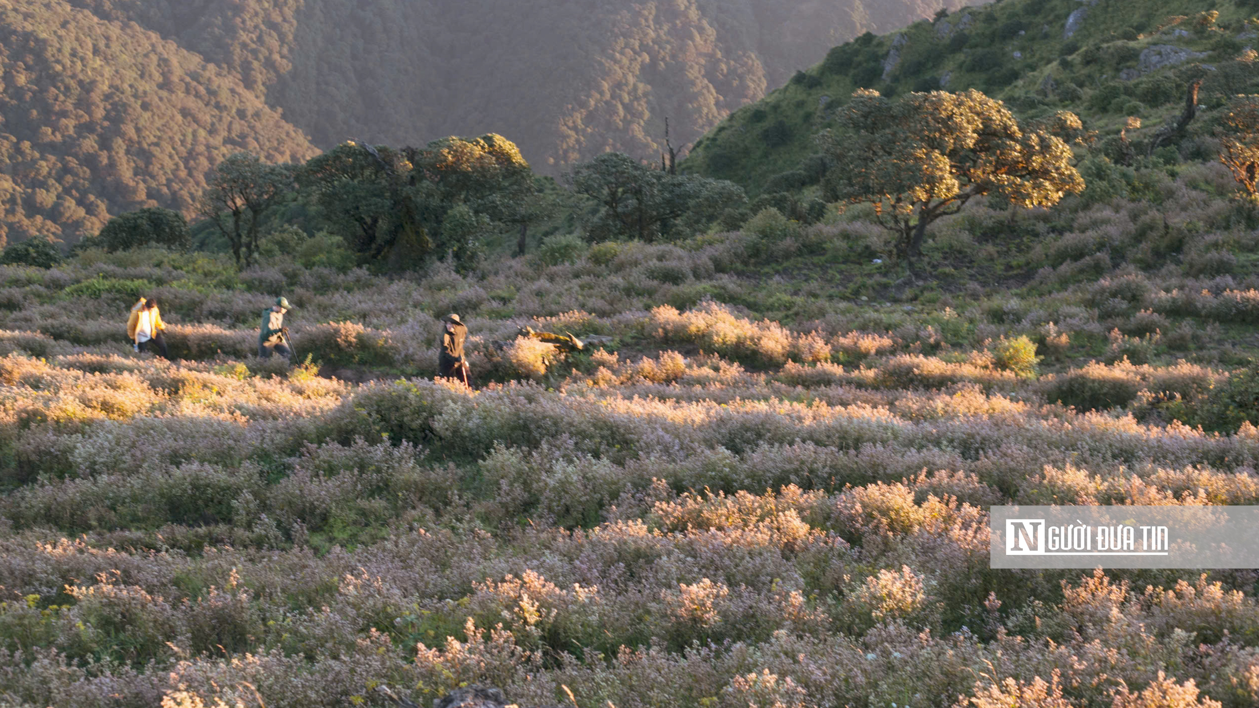 Trekking Tà Chì Nhù - những bước chân trên 