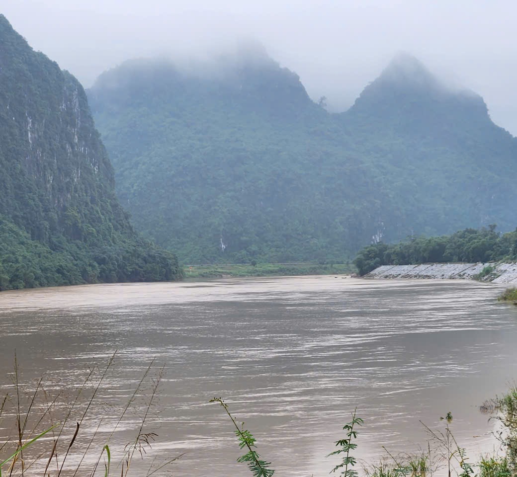 Bí ẩn khu rừng dưới sông Gianh giúp nuôi sống bao thế hệ- Ảnh 2.