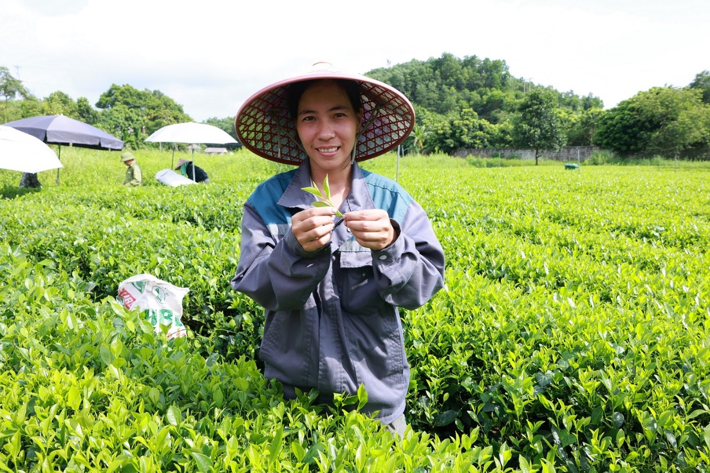 Kỷ niệm 3 thập kỷ phát triển, Tân Hiệp Phát cam kết kiến tạo giá trị mới để tiếp tục phụng sự xã hội- Ảnh 4.