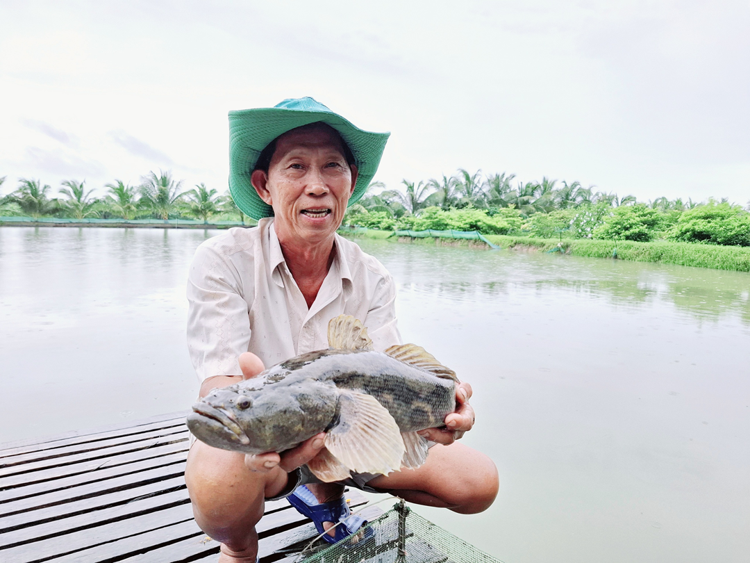 Nắm bí quyết nuôi cá "lớn nhanh như thổi", ông nông dân nhẹ nhàng kiếm 5 tỷ đồng- Ảnh 4.