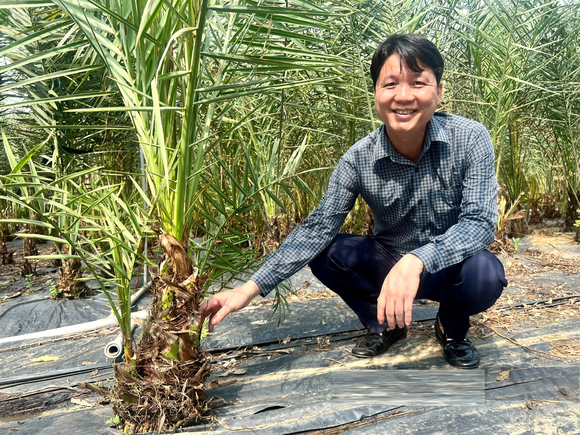 Bỏ phố về trồng cây "mới lạ", anh nông dân nhẹ nhàng kiếm 40 tỷ đồng/năm- Ảnh 1.