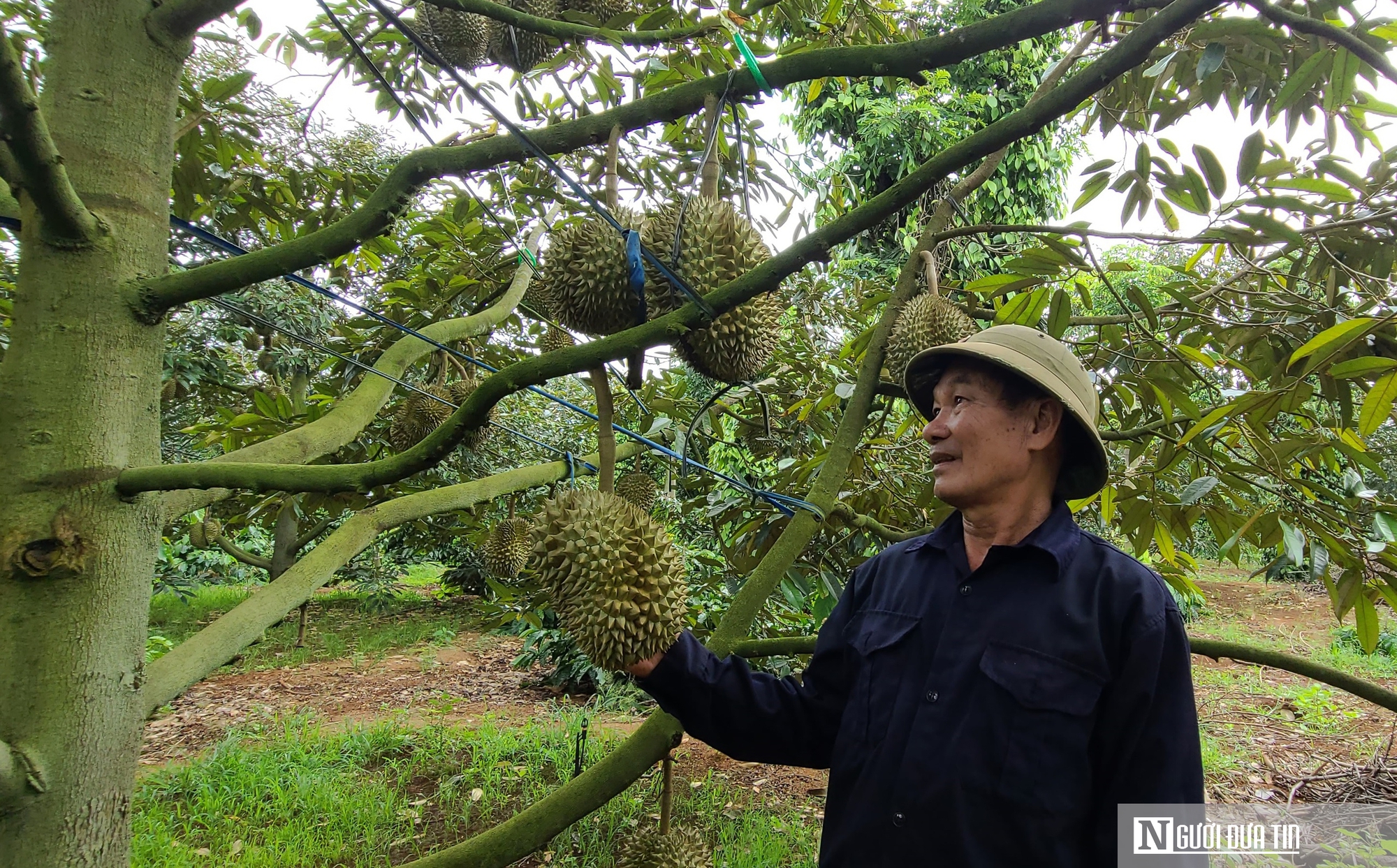 Nguồn vốn quan trọng giúp Đắk Lắk hoàn thành mục tiêu phát triển kinh tế - xã hội- Ảnh 2.