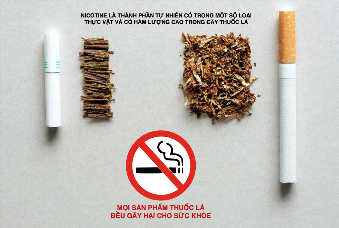 Kiểm soát các sản phẩm có chứa nicotine để bảo vệ giới trẻ- Ảnh 1.