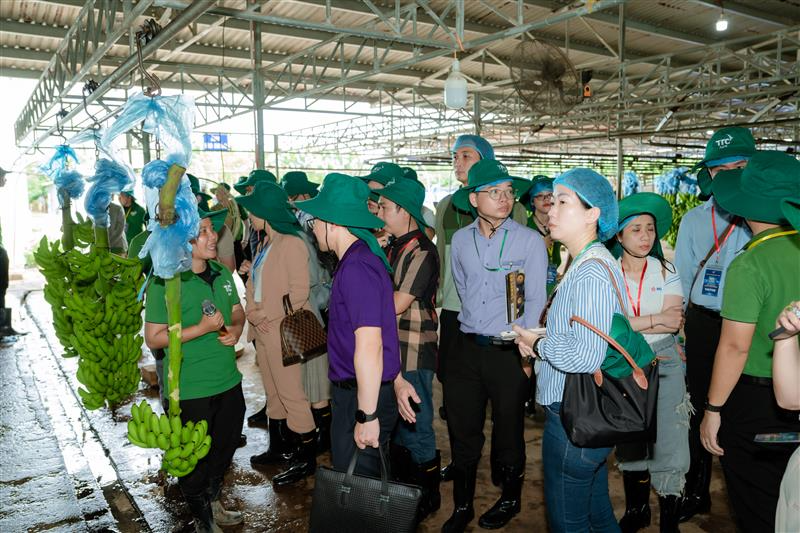 TTC AgriS sẽ đẩy mạnh tái cấu trúc tài chính, tập trung vào hoạt động lõi, tiến nhanh vào thị trường FBMC toàn cầu- Ảnh 3.