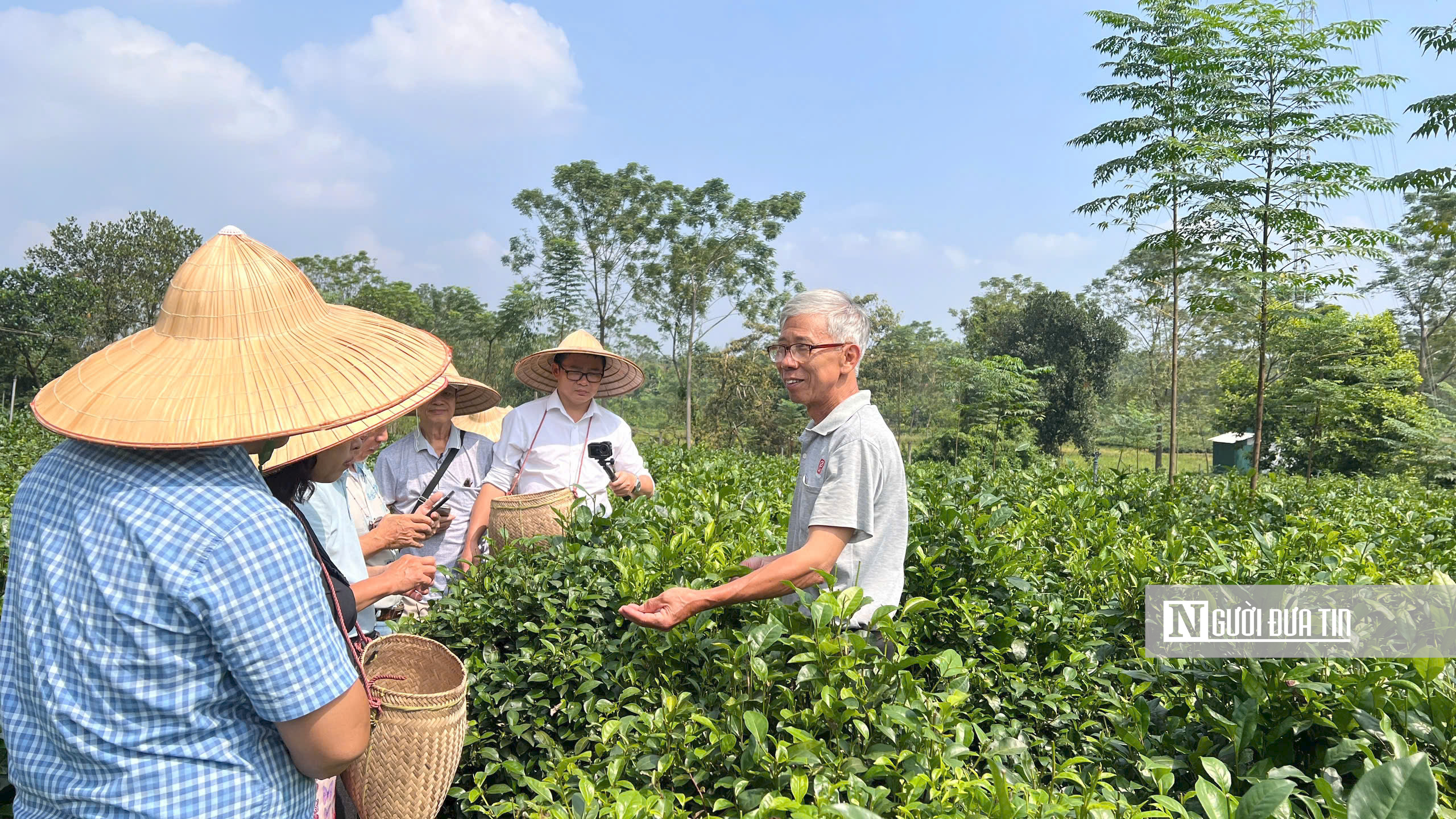 "Đánh thức" vùng chè Ba Trại thành điểm đến du lịch hấp dẫn- Ảnh 9.