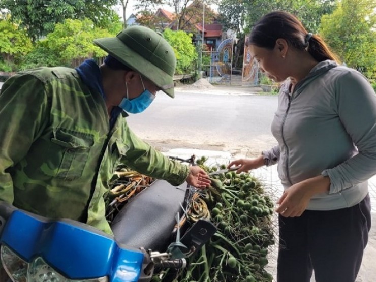 Trung Quốc bất ngờ ngừng thu mua, giá cau tươi cắm đầu lao dốc, rớt 50 giá chỉ trong vài ngày