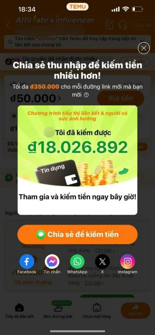 Rầm rộ xuất hiện, Temu có chinh phục được thị trường Việt Nam?- Ảnh 2.