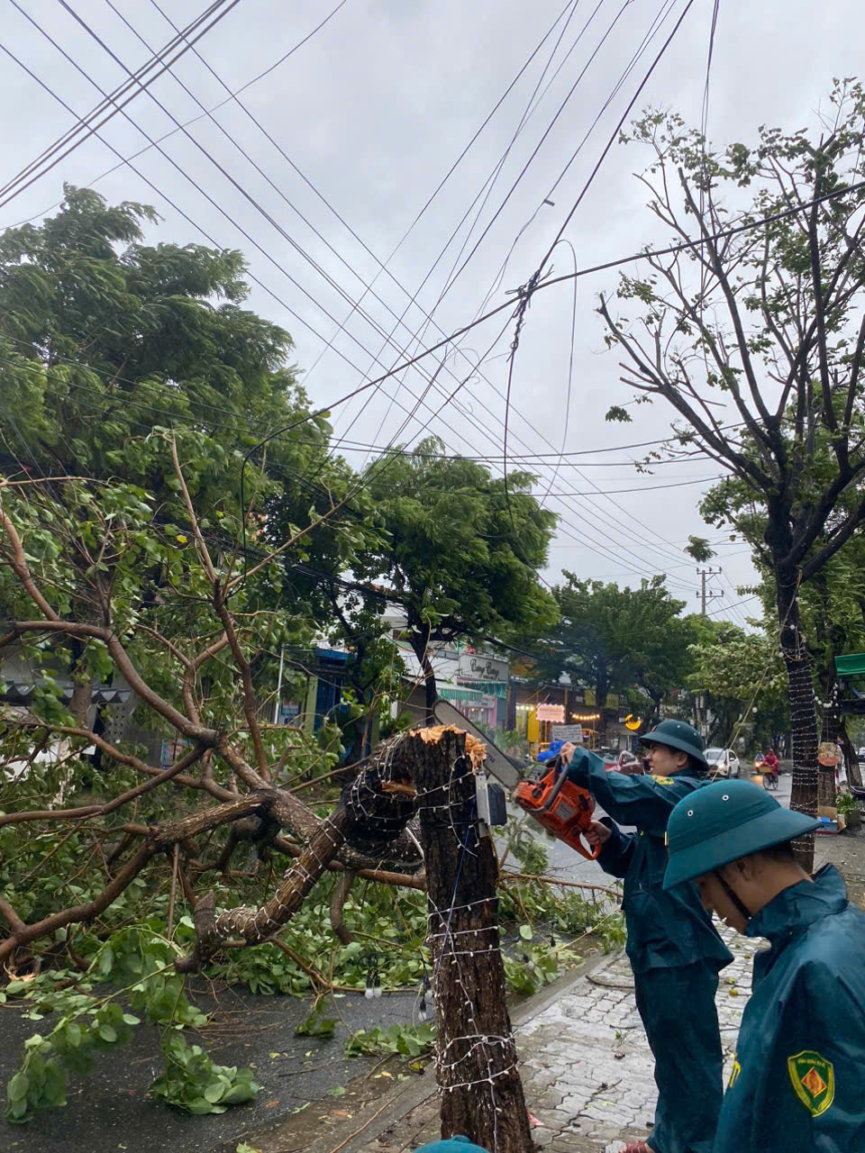 Hơn 900 cây xanh đã bị ngã, đổ.