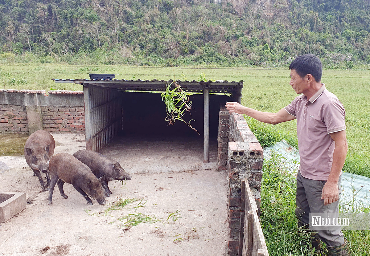 Hải Phòng: Xã đảo “thay da đổi thịt” nhờ phát triển du lịch- Ảnh 5.