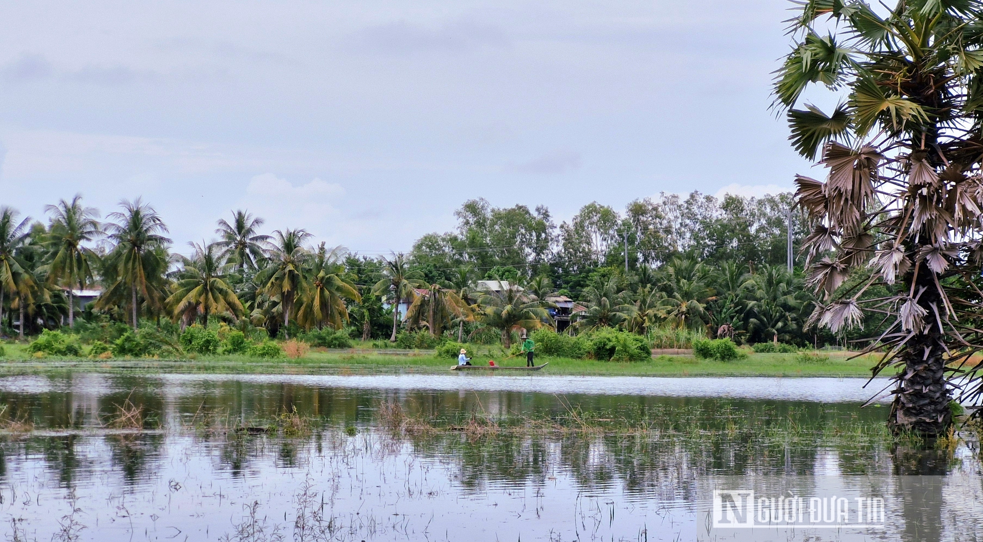 Niềm vui mùa nước nổi ở An Giang- Ảnh 7.