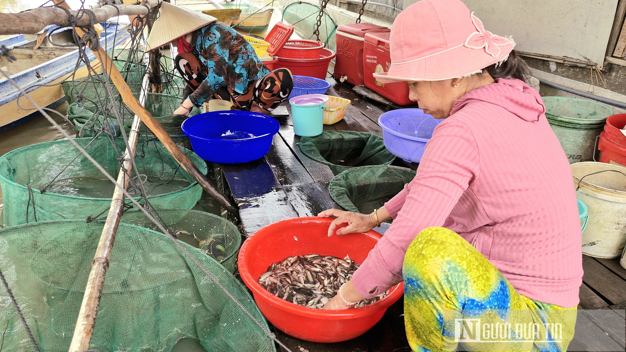 Niềm vui mùa nước nổi ở An Giang- Ảnh 3.