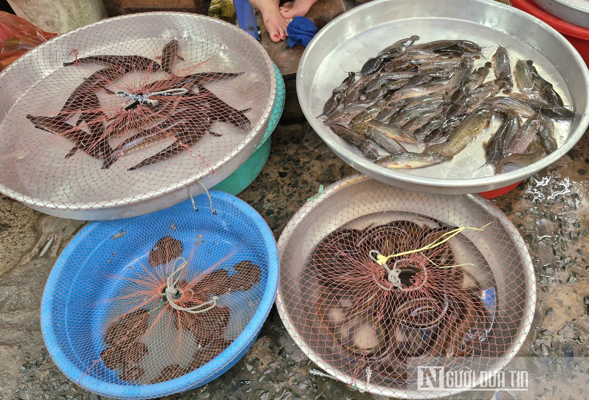 Niềm vui mùa nước nổi ở An Giang- Ảnh 11.