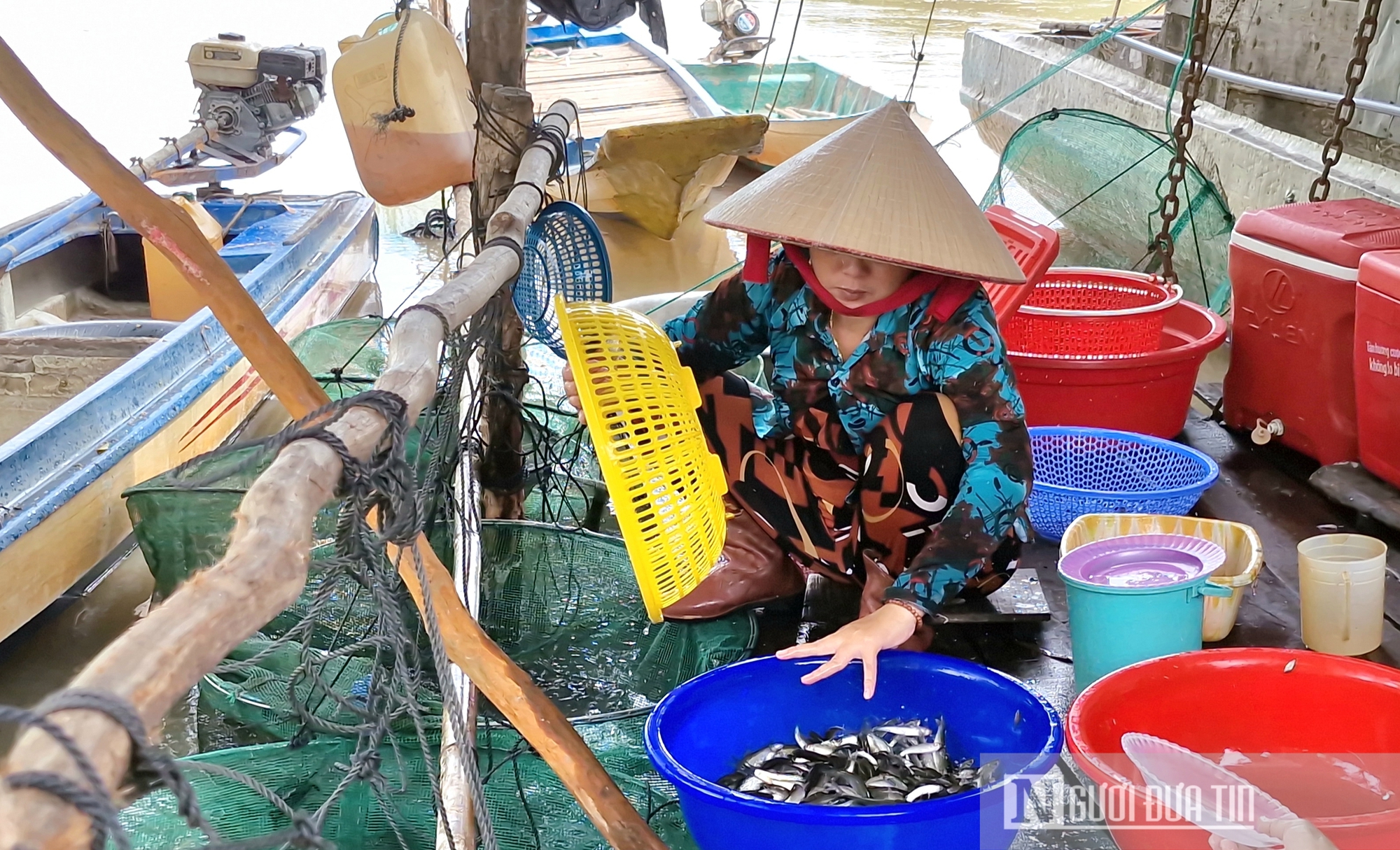 Niềm vui mùa nước nổi ở An Giang- Ảnh 5.