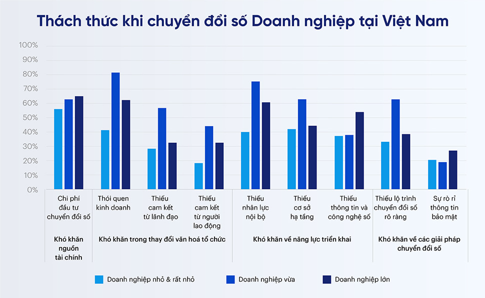 Doanh nghiệp Việt đứng ở đâu trong bức tranh chuyển đổi số?- Ảnh 5.