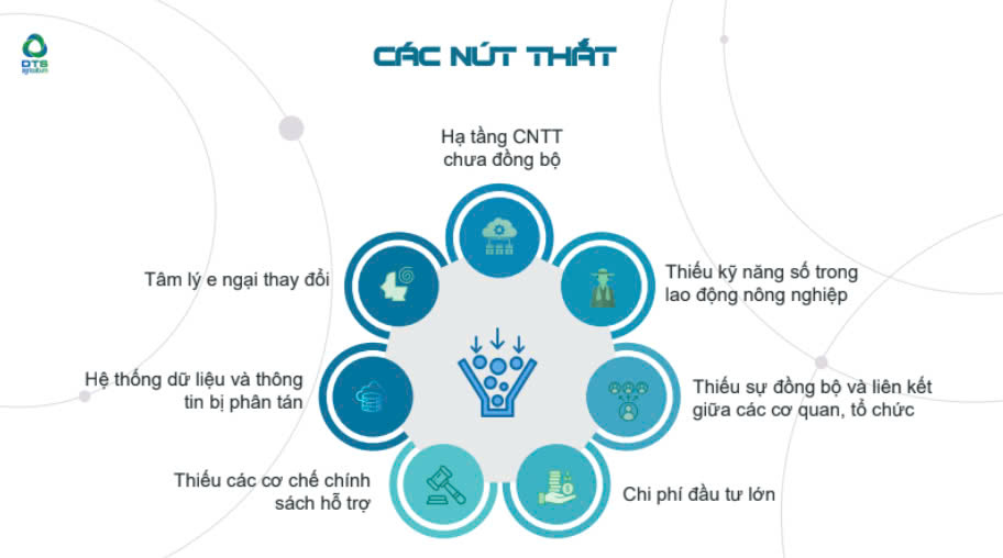 Nông sản Việt tự tìm lối đi thời thương mại điện tử- Ảnh 3.