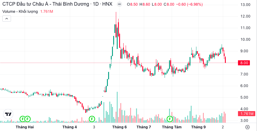 IDJ không mua bất kỳ cổ phiếu API nào như đăng ký- Ảnh 1.