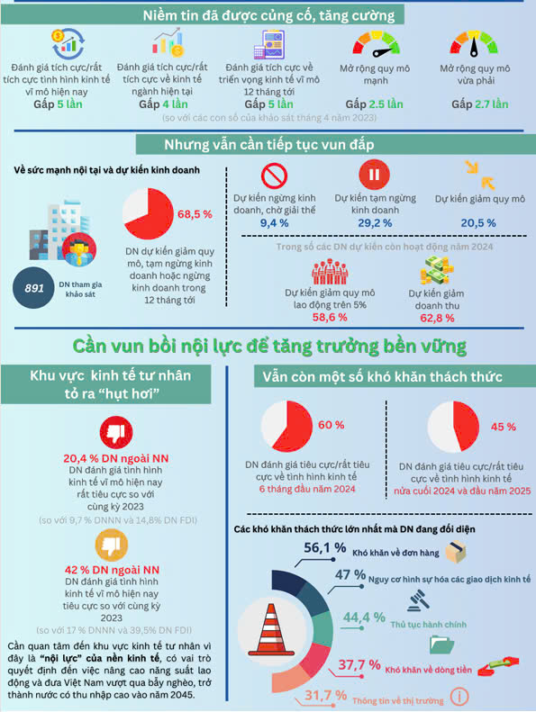 Niềm tin của doanh nghiệp đã tăng nhưng nội lực vẫn còn "hụt hơi, kém sức"- Ảnh 2.