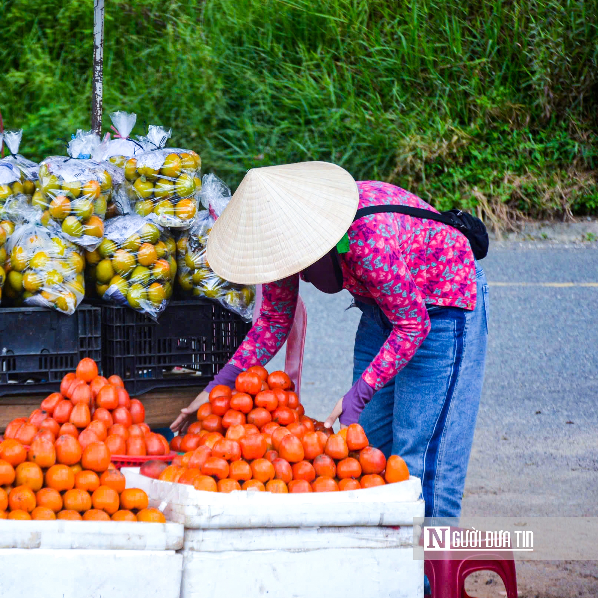 Rực rỡ mùa hồng trên cao nguyên- Ảnh 13.