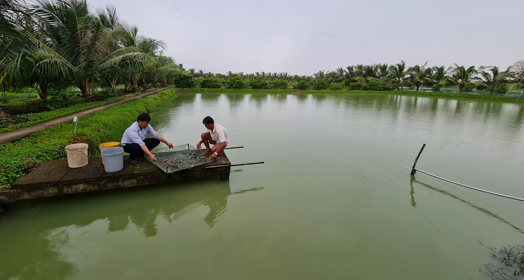 Bỏ phố về quê nuôi con vật to bự "hiền như đất", anh nông dân thu về 4 tỷ đồng- Ảnh 5.