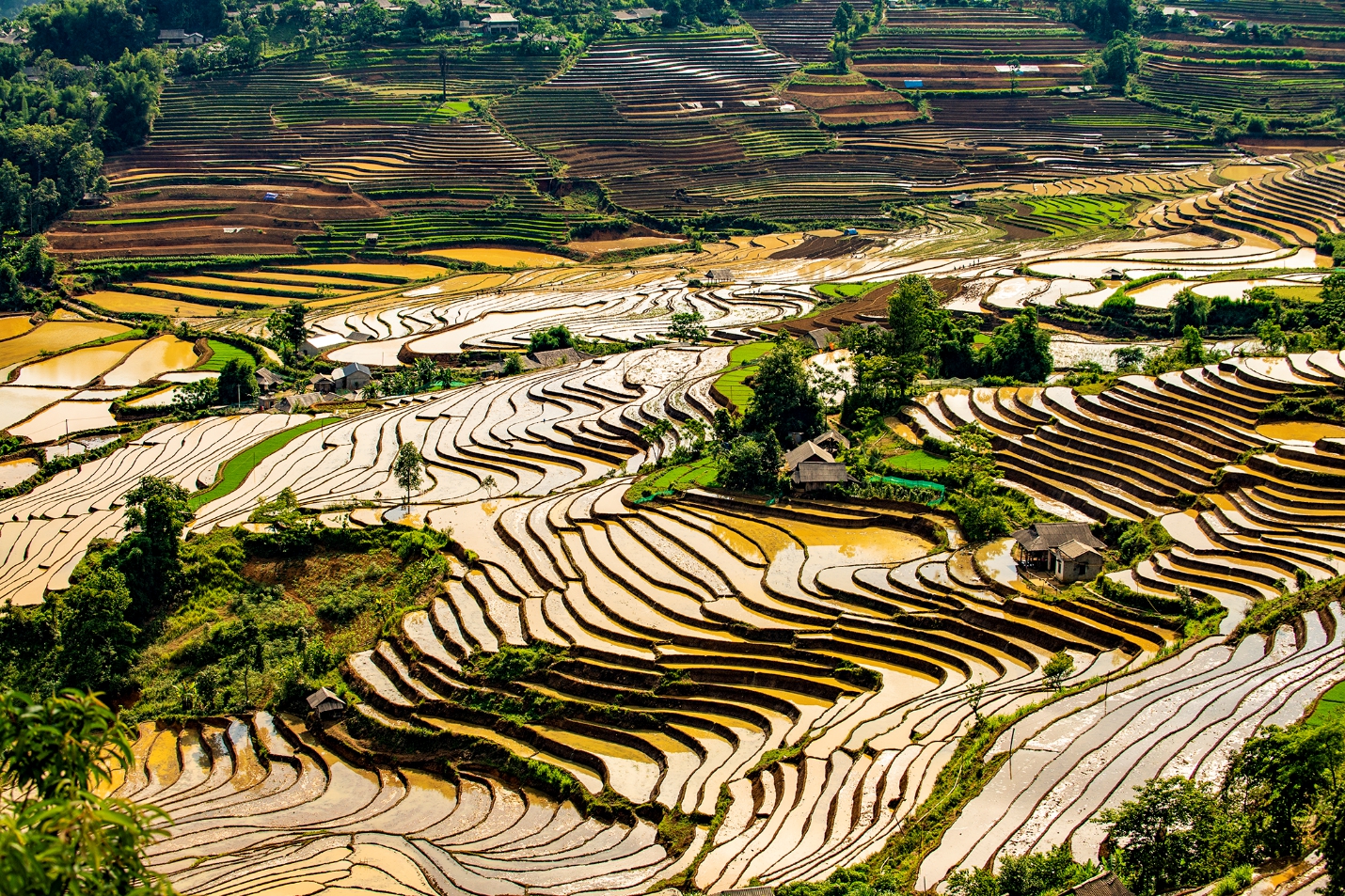 Mùa nước đổ trên ruộng bậc thang Tà Lèng - Tam Đường