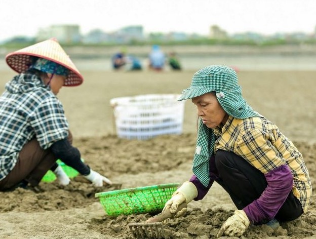 Từ đôi bàn tay trắng, bà nông dân kiếm 150 tỷ đồng/năm nhờ nuôi con "hiền như cục đất"- Ảnh 3. Từ đôi bàn tay trắng, bà nông dân kiếm 150 tỷ đồng/năm nhờ nuôi con "hiền như cục đất"- Ảnh 3.