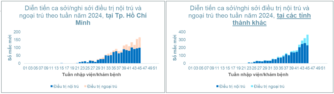 Vì sao ca mắc sởi tại Tp.HCM tiếp tục gia tăng?- Ảnh 1.