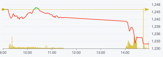 Áp lực bán dâng cao, VN-Index bị đẩy về sát mốc 1.230 điểm- Ảnh 1.