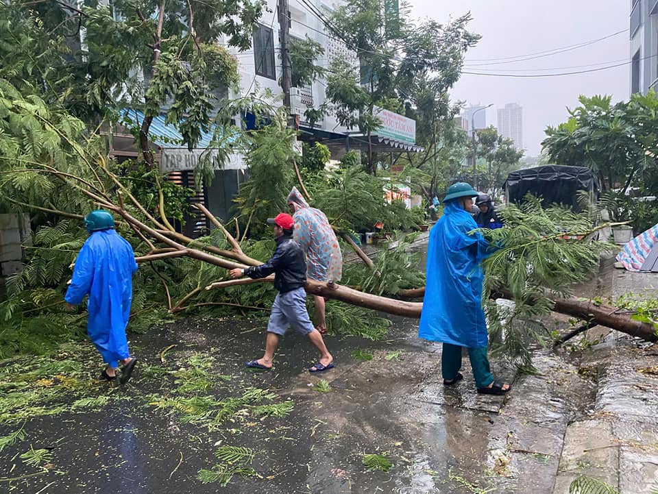 Chặt cây ngã, đổ sau mưa to, gió lớn.