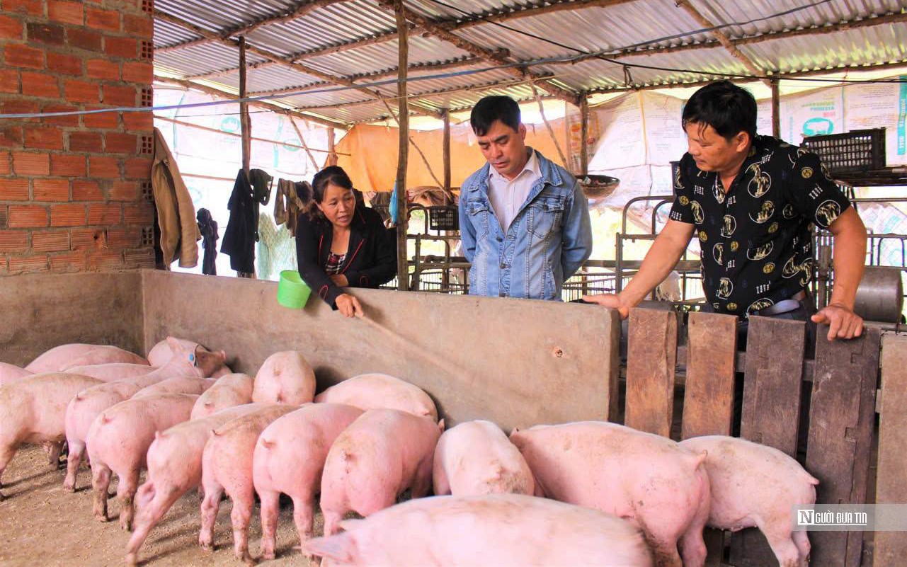 'Chìa khóa' đẩy nhanh tiến độ xây dựng nông thôn mới ở Đắk Lắk